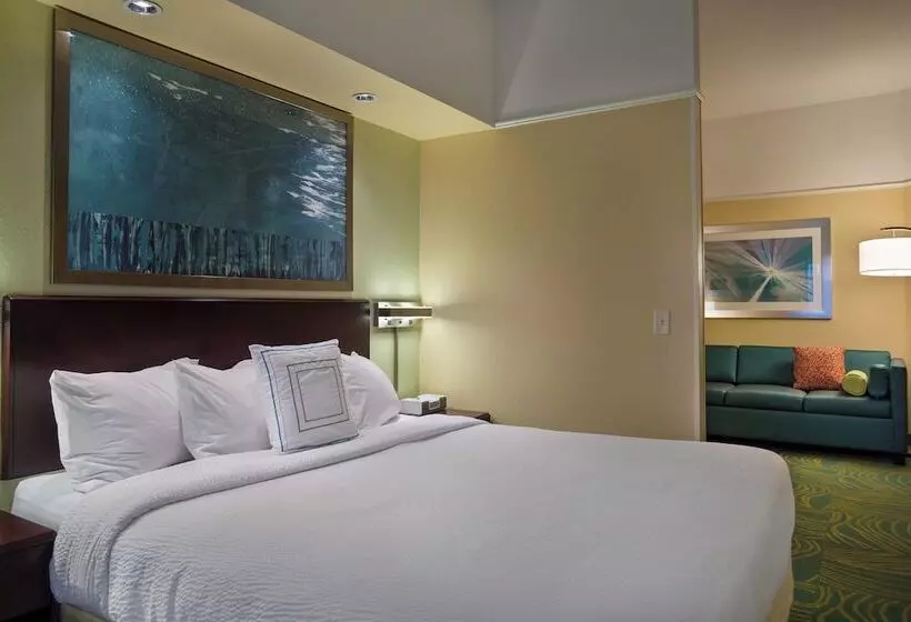 スイート, Springhill Suites St Petersburg Clearwater