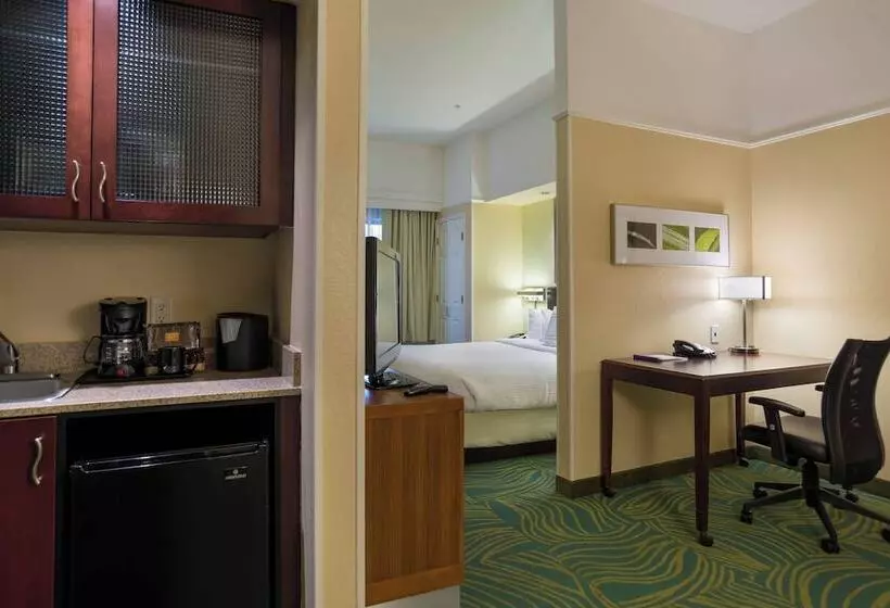 スイート, Springhill Suites St Petersburg Clearwater