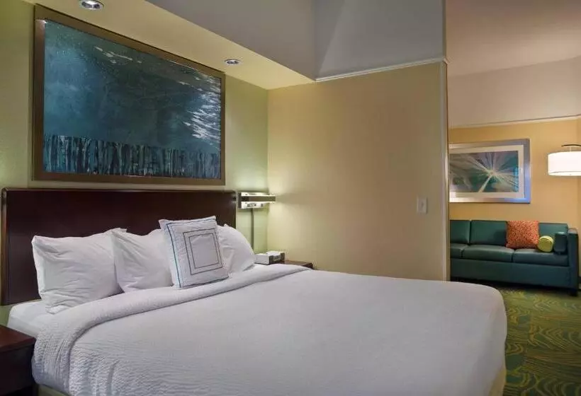 キングサイズベッドのスイートルーム, Springhill Suites St Petersburg Clearwater