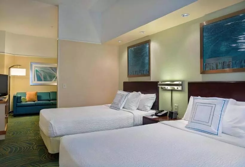 身障者適用スイートルーム, Springhill Suites St Petersburg Clearwater