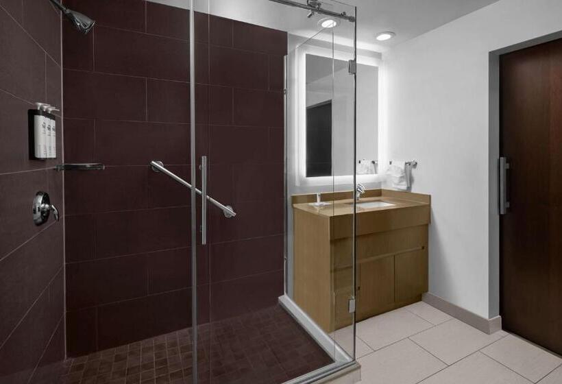 带大床的套房, Hyatt House Raleigh North Hills