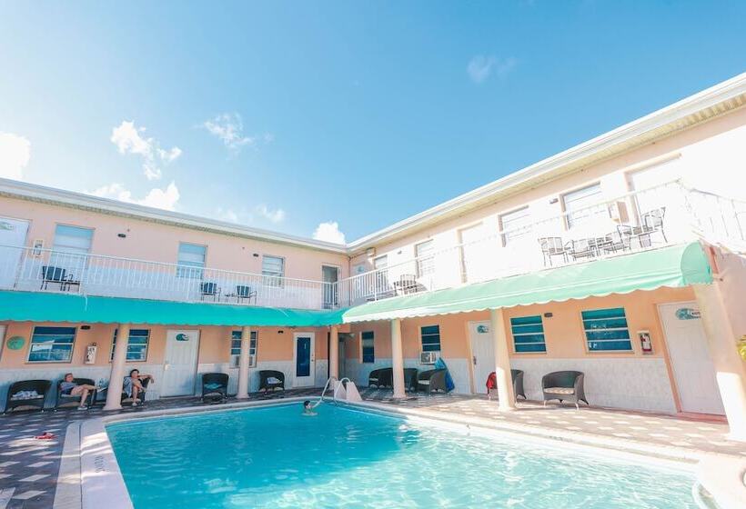 غرفة ديلوكس, The Blue Wave