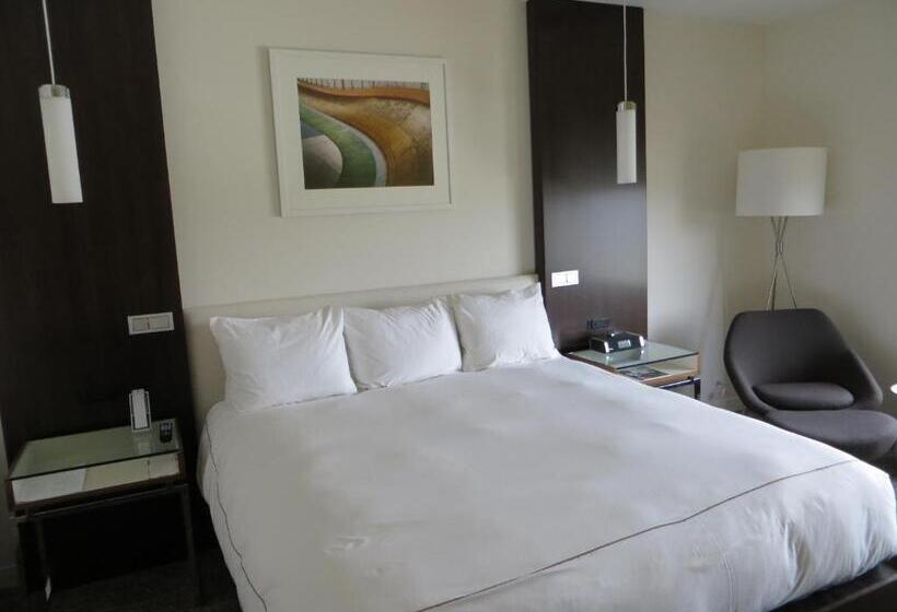 带大床的标准工作室, The Alexander