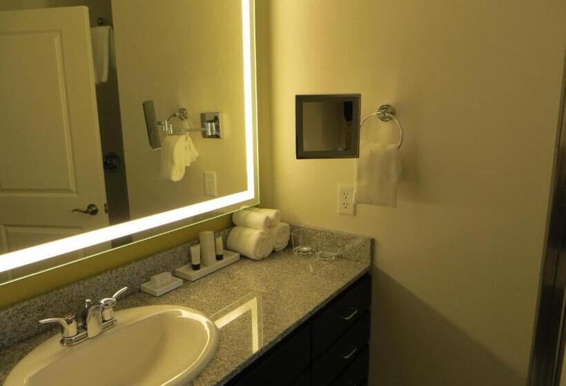 带大床的小型套房, The Alexander