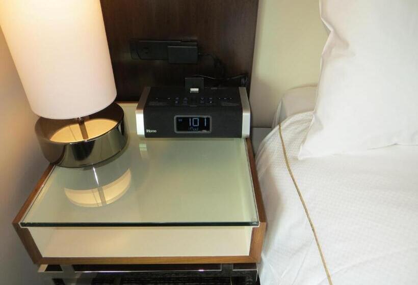Deluxe Kamer Aangepast voor Gehandicapten, The Alexander