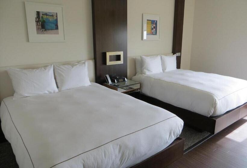 适用于残疾人士的豪华房间, The Alexander