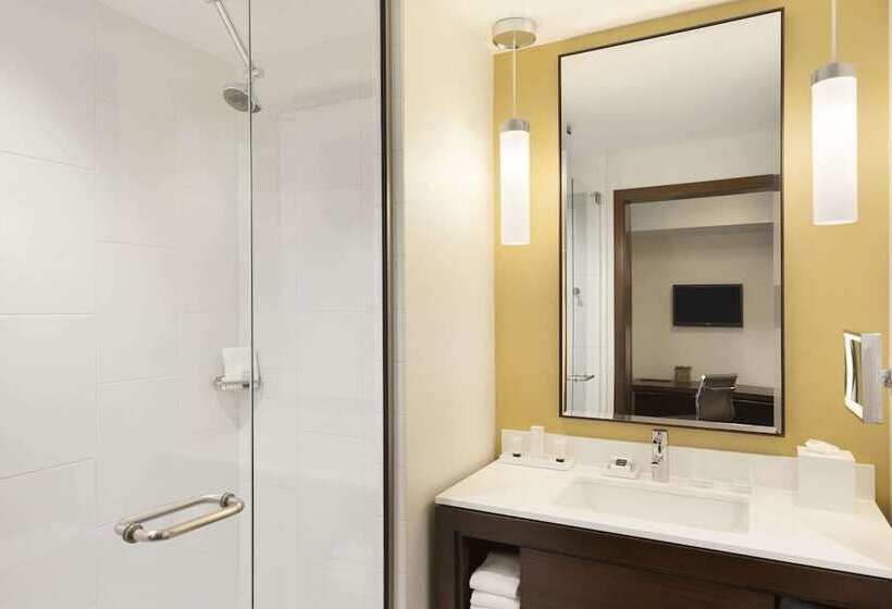 带大床的标准工作室, The Alexander