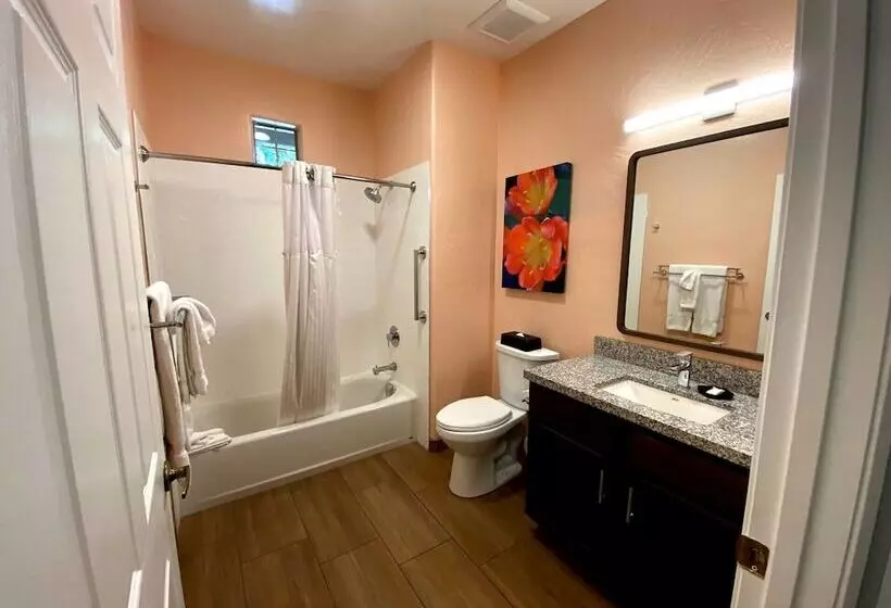 １ベッドルームアパートメント, Worldmark Rancho Vistoso