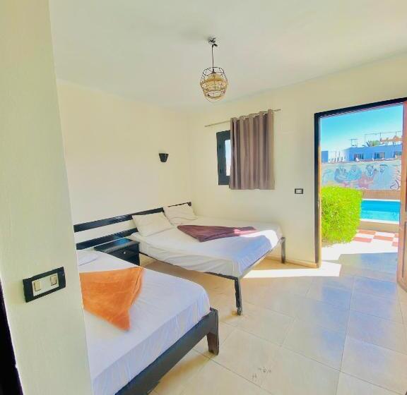 اتاق اکونومی, Dahab Inn