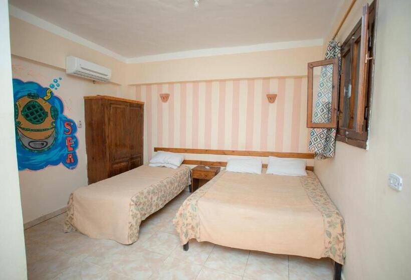 اتاق استاندارد سه نفره, Dahab Inn