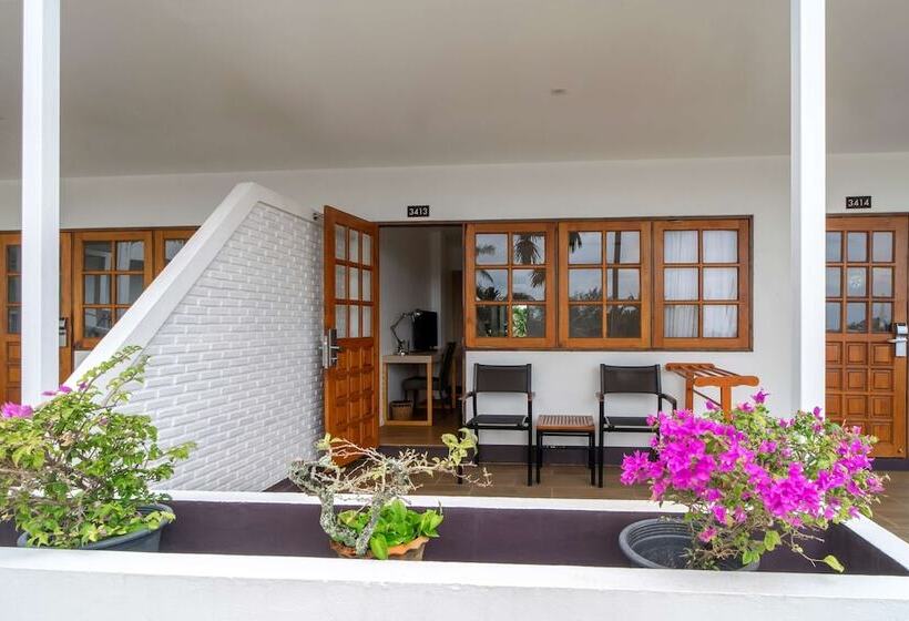 オーシャンビューデラックスルーム, Best Western Phuket Ocean Resort