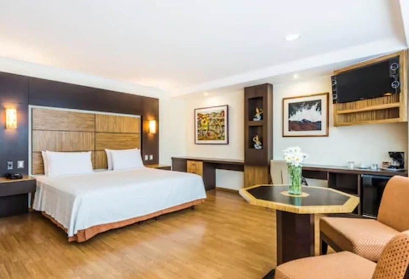 جناح جونيور, Gh Galeria