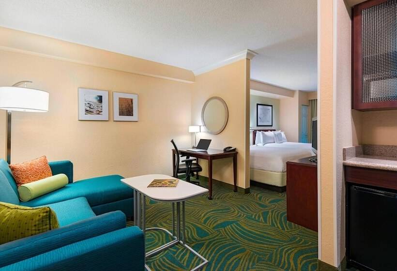جناح لذوى الاحتياجات الخاصة, Springhill Suites Fort Myers Airport