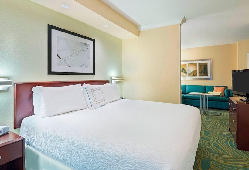 身障者適用スイートルーム, Springhill Suites Fort Myers Airport