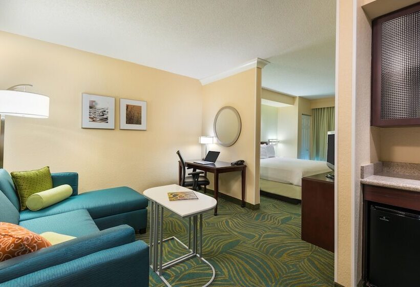 适合残疾人士使用的套间, Springhill Suites Fort Myers Airport