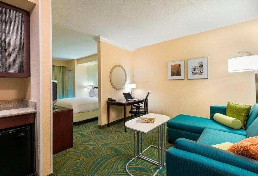 جناح لذوى الاحتياجات الخاصة, Springhill Suites Fort Myers Airport
