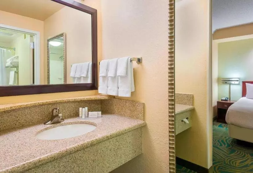キングサイズベッドのスイートルーム, Springhill Suites Fort Myers Airport