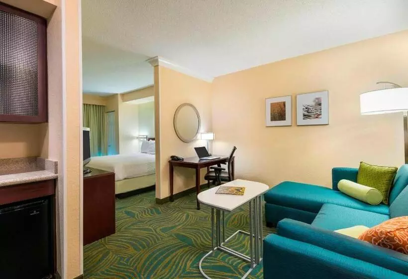 キングサイズベッドのスイートルーム, Springhill Suites Fort Myers Airport