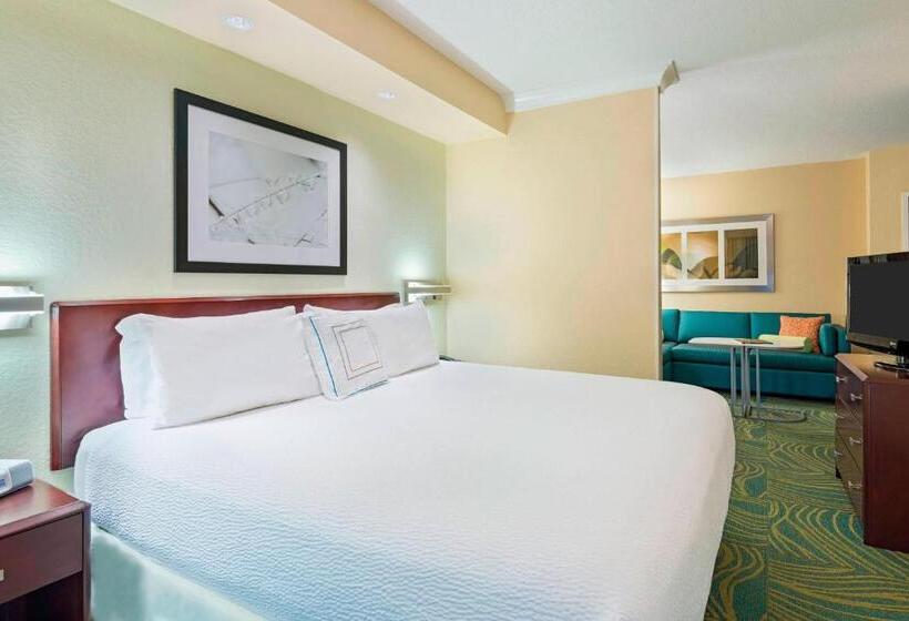 身障者適用スイートルーム, Springhill Suites Fort Myers Airport