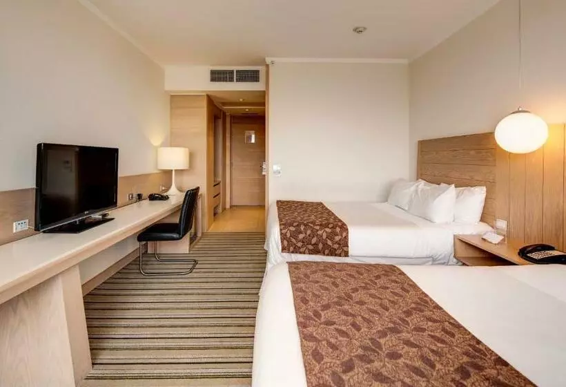身障者適用スタンダードルーム, Wyndham Concepcion Pettra