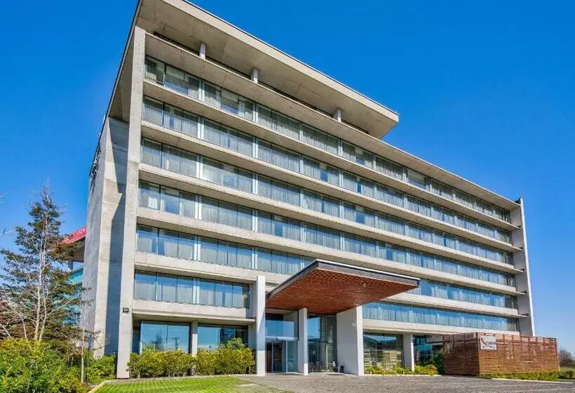 身障者適用スタンダードルーム, Wyndham Concepcion Pettra
