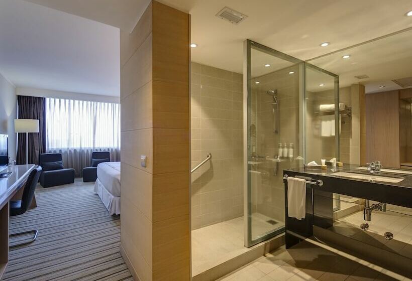 Standaardkamer met 2 Tweepersoonsbedden, Wyndham Concepcion Pettra