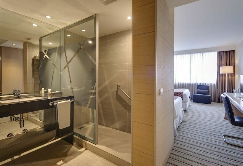 Standaardkamer met 2 Tweepersoonsbedden, Wyndham Concepcion Pettra