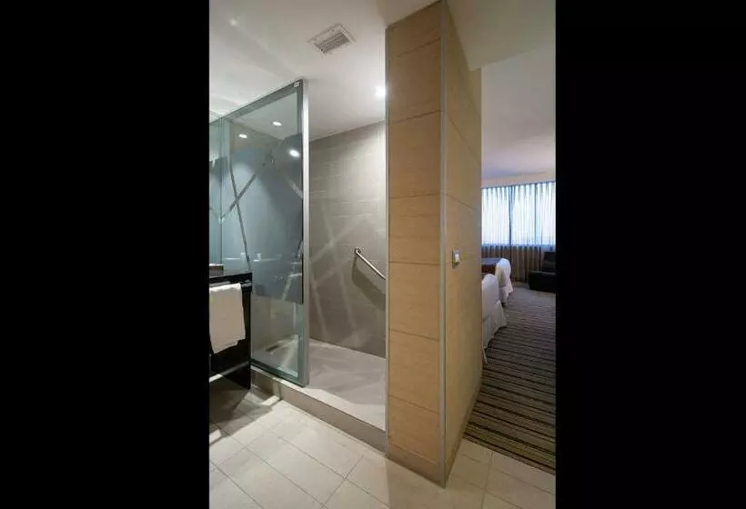 身障者適用スタンダードルーム, Wyndham Concepcion Pettra