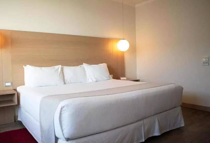 キングサイズベッドのスタンダードルーム, Wyndham Concepcion Pettra