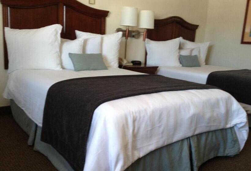 غرفه قياسيه سريرين مزدوجين, Holiday Hill Inn & Suites