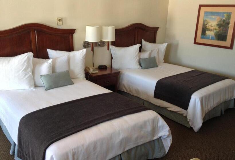 غرفه قياسيه سريرين مزدوجين, Holiday Hill Inn & Suites