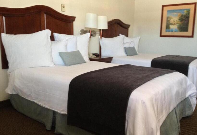 غرفه قياسيه سريرين مزدوجين, Holiday Hill Inn & Suites