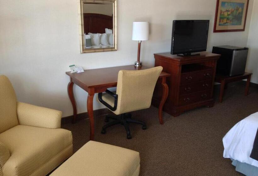 غرفة قياسية سرير كينج, Holiday Hill Inn & Suites