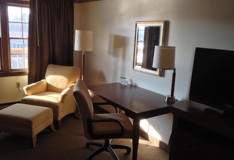 Стандартный Номер Кровать Кинг, Holiday Hill Inn & Suites