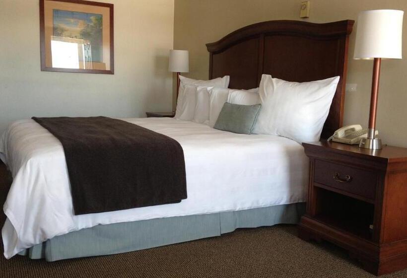 غرفة قياسية سرير كينج, Holiday Hill Inn & Suites