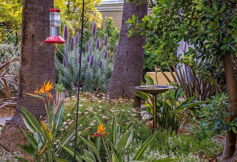 스탠다드 룸 바다 전망, The Avalon Hotel In Catalina Island