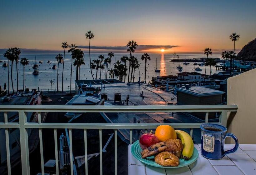 스탠다드 룸 바다 전망, The Avalon Hotel In Catalina Island