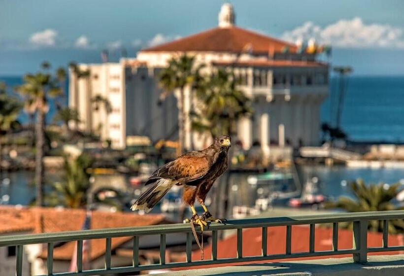 스탠다드 룸 바다 전망, The Avalon Hotel In Catalina Island