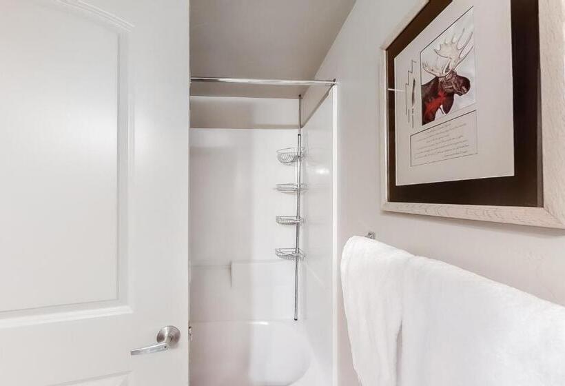 2ベッドルームアパートメント, First Tracks By Steamboat Resorts