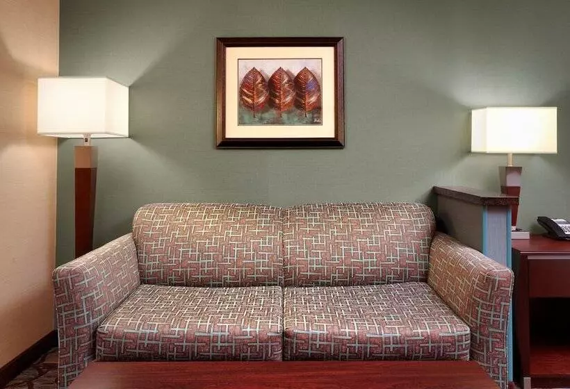 スイート, Holiday Inn Express Hotel & Suites Butte, An Ihg