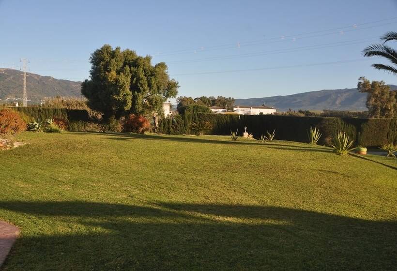 Номер Стандарт с Террасой, El Levante