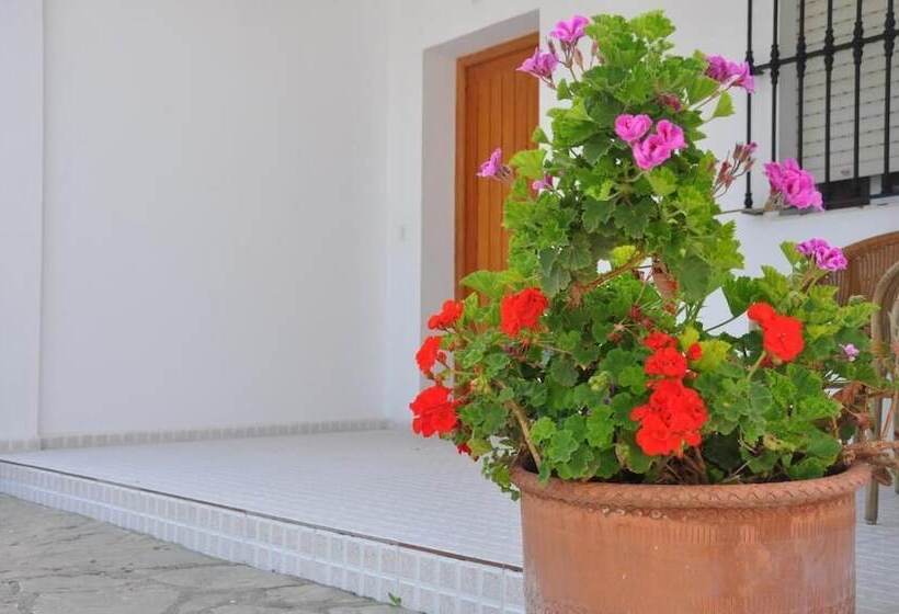 Номер Стандарт с Террасой, El Levante