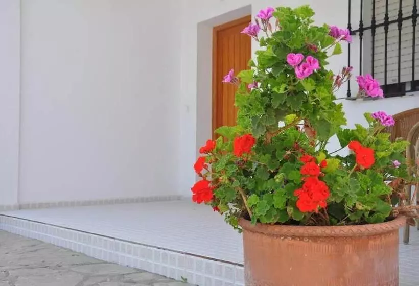 Standard Triple Room with Terrace, El Levante