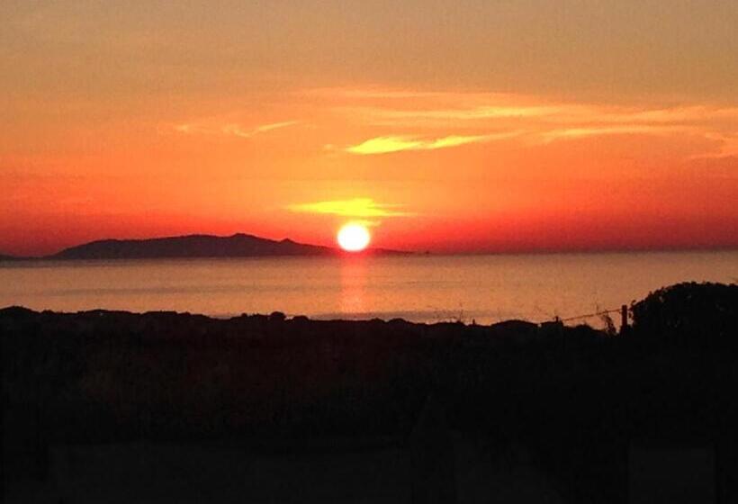 オーシャンビュースタンダードルームバルコニー付き, Abbaidda