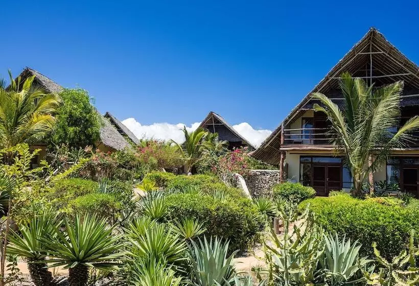 デラックススイート, Sunshine Marine Lodge
