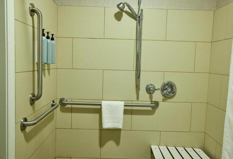 Люкс Кровать Кинг, Residence Inn By Marriott Columbia Northwest/harbison