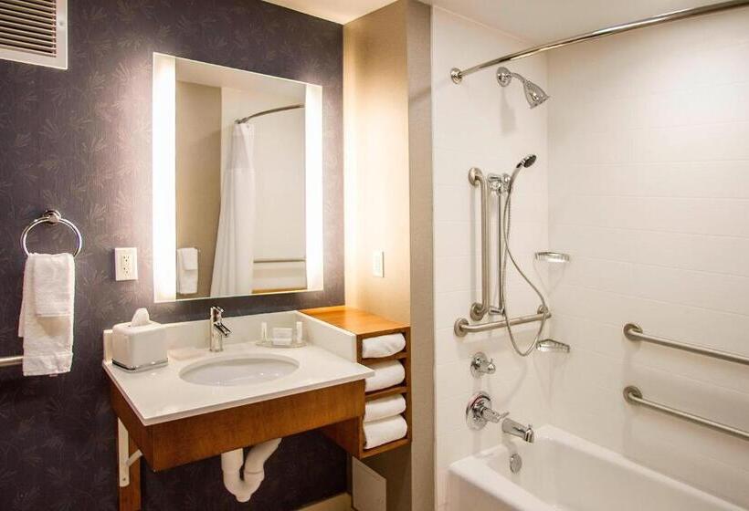 带大床的套房, Springhill Suites By Marriott Deadwood