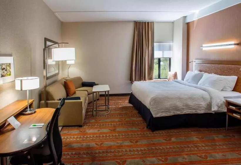 キングサイズベッドのスイートルーム, Springhill Suites By Marriott Deadwood