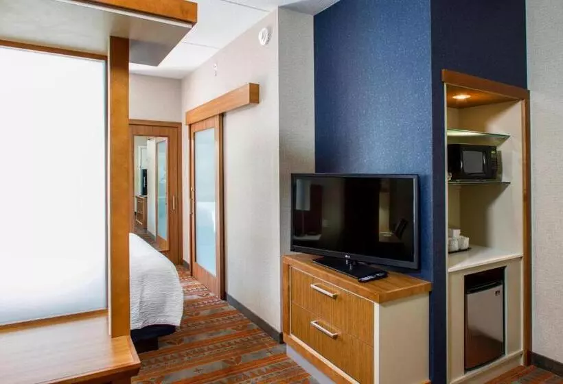 キングサイズベッドのスイートルーム, Springhill Suites By Marriott Deadwood