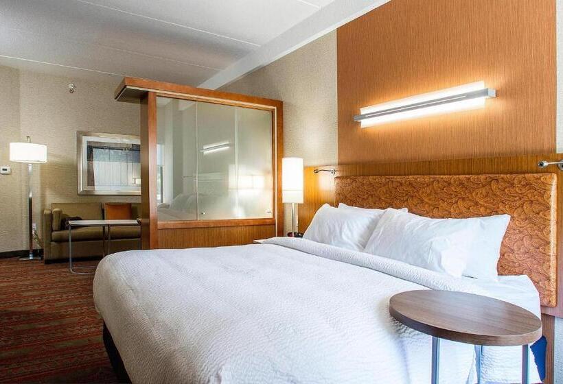 带大床的套房, Springhill Suites By Marriott Deadwood